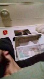 nastynasty19 webcam model stream image