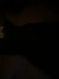 Milana_UK webcam stripchat model stream image