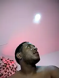 ARTHUR_MINI webcam model stream image