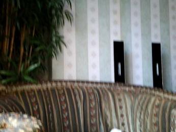 Honeykrisspussy webcam model stream image