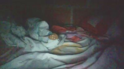 Seilor webcam model stream image