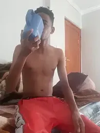 gemini_loops webcam model stream image