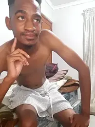 gemini_loops webcam model stream image