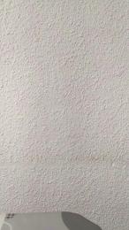 Salido042 webcam model stream image