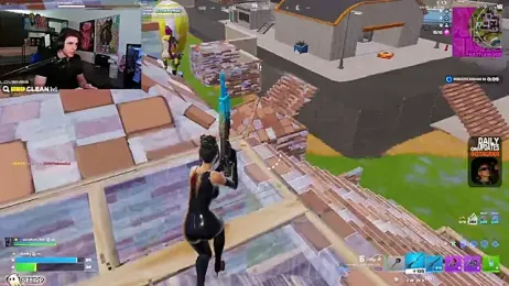 sebirp webcam model stream image