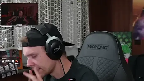 sebirp webcam model stream image