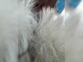 Marianna_ webcam bongacams model stream image