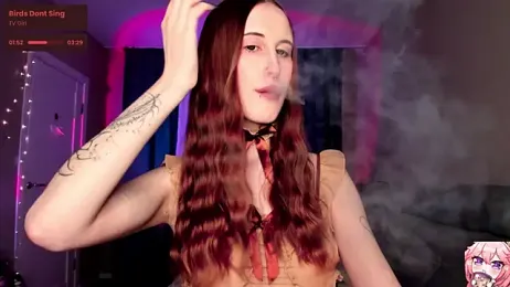 p1nkypaws webcam model stream image