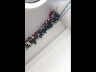 sarahpeterson webcam camsoda model stream image