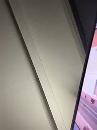 TheRealMrDLlong webcam model stream image