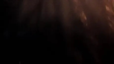 sally_009 webcam model stream image