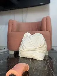 emiss_ webcam model stream image