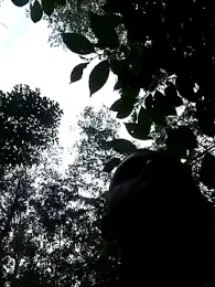 angelitocalientico webcam model stream image