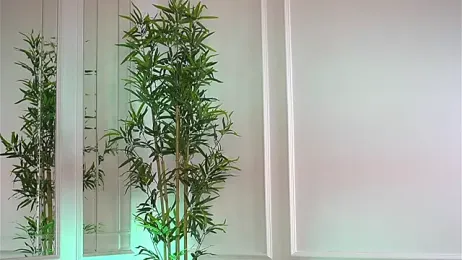 Cherrysweett webcam model stream image