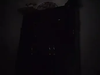 ElverCol webcam model stream image