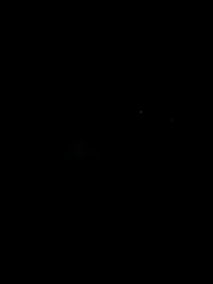 Saif_b11b webcam model stream image