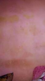 Elysca webcam model stream image