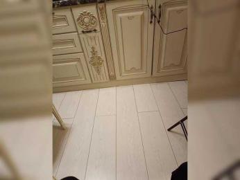 GSNAMI webcam model stream image