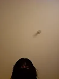 Latin_summer webcam model stream image