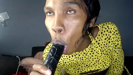 hoittytoittyxx webcam model stream image