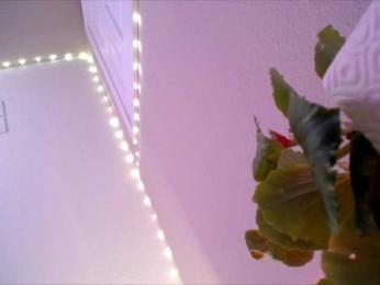 PrincessXOXO webcam model stream image