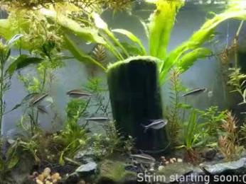 booker_baxton webcam model stream image