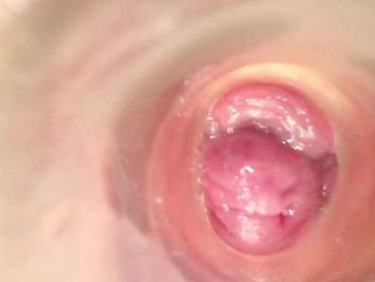 Shannon-kane webcam model stream image