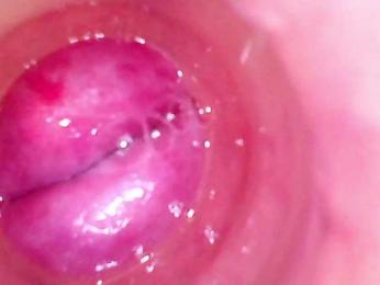 Shannon-kane webcam model stream image