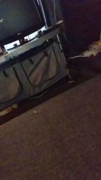 Petitebombe34 webcam model stream image