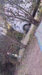 Petitebombe34 webcam model stream image