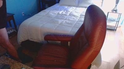 BearlyJay webcam model stream image