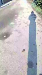 luxxuriax webcam model stream image