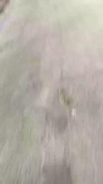 luxxuriax webcam model stream image