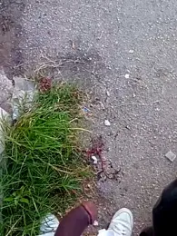 blackman933z webcam model stream image