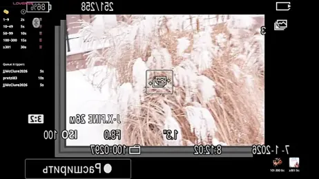 GiKarerra webcam model stream image