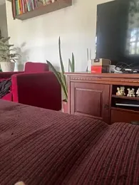 Dmmartins webcam model stream image