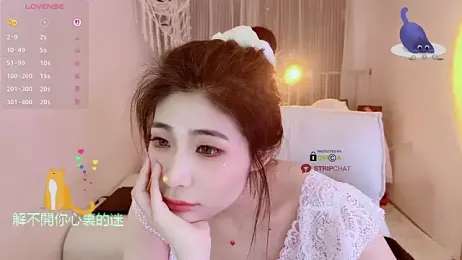 Vaidurya-Yolo webcam model stream image