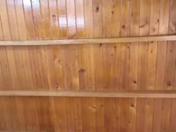 nicollbashel webcam model stream image