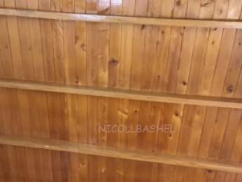 nicollbashel webcam model stream image