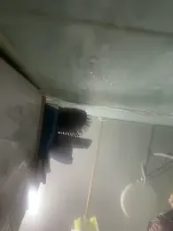 peiton_steele7 webcam stripchat model stream image