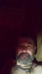 daddybearmadri5 webcam cam4 model stream image