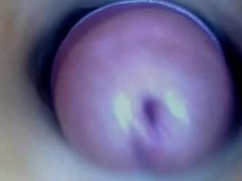 paulainoscente webcam model stream image
