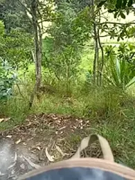 Cuervo_maniaco webcam model stream image