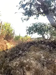 Bdsm_zy webcam model stream image