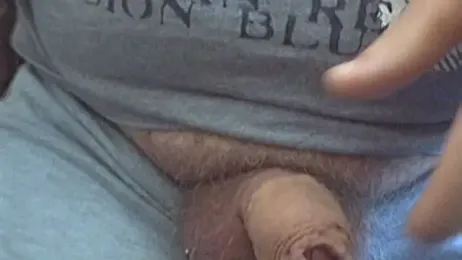 passatwind webcam model stream image