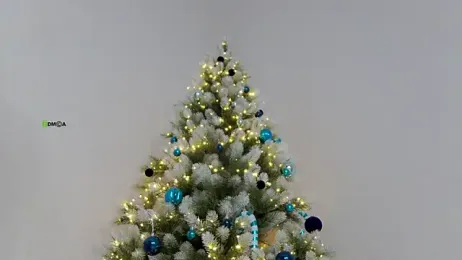 Haters__ webcam model stream image