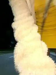 NAUGHTY_LITTLE_18 webcam model stream image