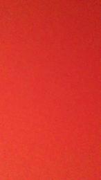 sansa2 webcam model stream image