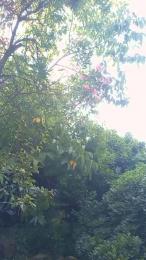 chupala_puto webcam model stream image