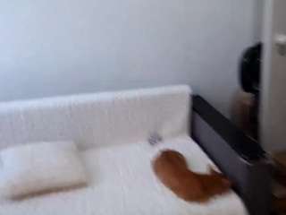 aleciaplanck webcam model stream image